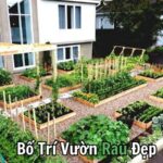 Bố Trí Vườn Rau Đẹp