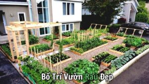 Bố Trí Vườn Rau Đẹp