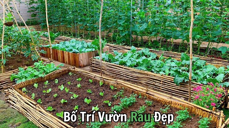 Bố Trí Vườn Rau Đẹp