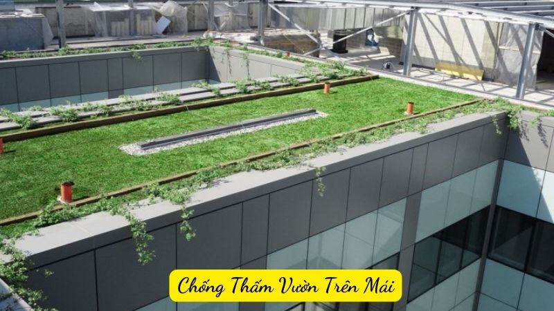 Chống Thấm Vườn Trên Mái