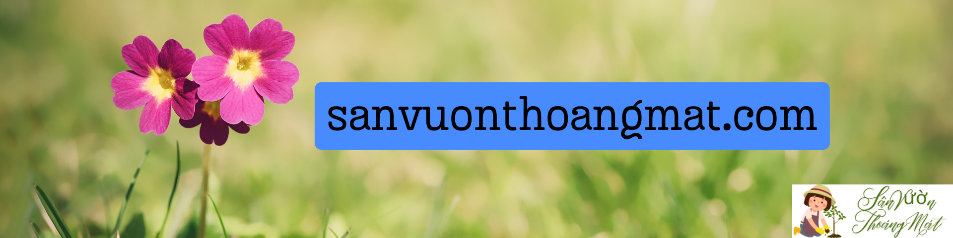 sanvuonthoangmat.com