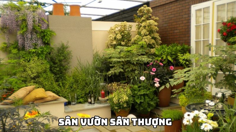 Sân Vườn Sân Thượng