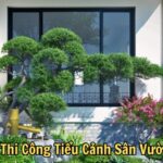 Thi Công Tiểu Cảnh Sân Vườn