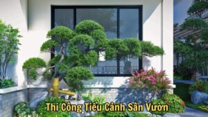 Thi Công Tiểu Cảnh Sân Vườn