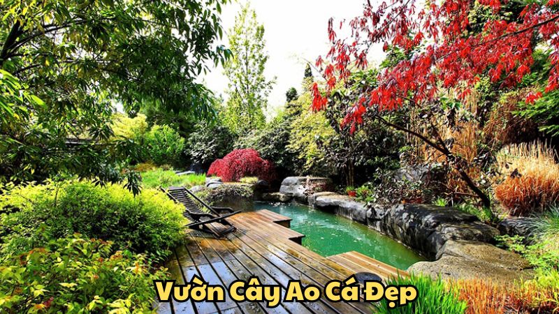 Vườn Cây Ao Cá Đẹp