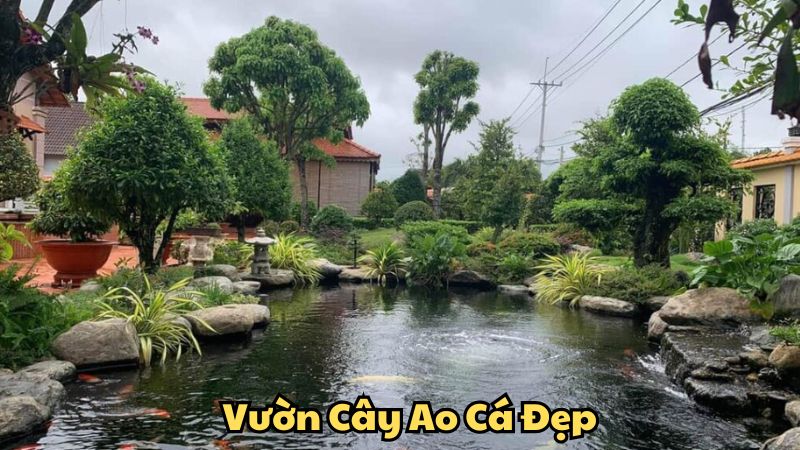 Vườn Cây Ao Cá Đẹp