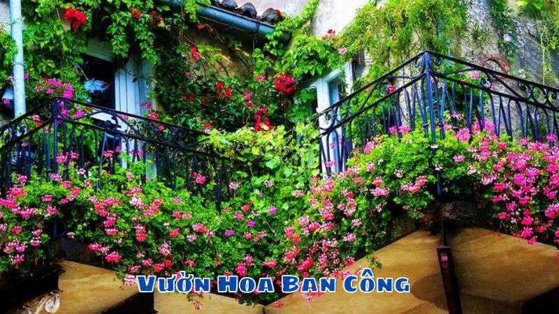 Vườn Hoa Ban Công