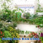 Vườn Hoa Ban Công