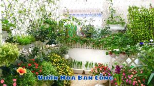 Vườn Hoa Ban Công