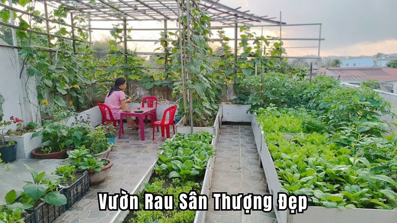 Vườn Rau Sân Thượng Đẹp