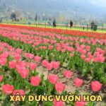 XÂY DỰNG VƯỜN HOA