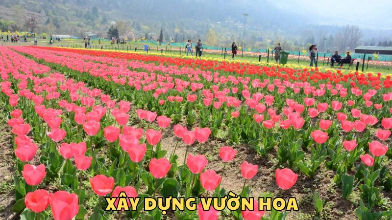 XÂY DỰNG VƯỜN HOA