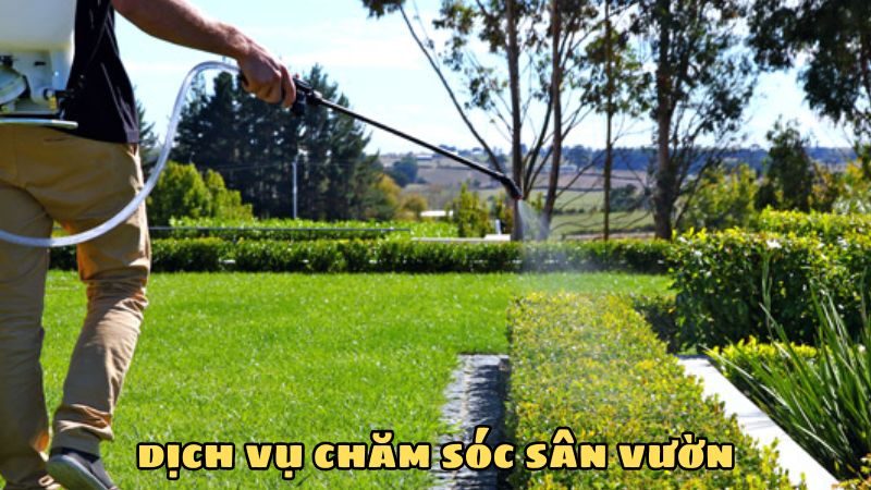 dịch vụ chăm sóc sân vườn