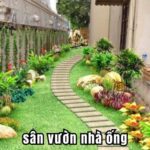 sân vườn nhà ống