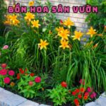 Bồn Hoa Sân Vườn